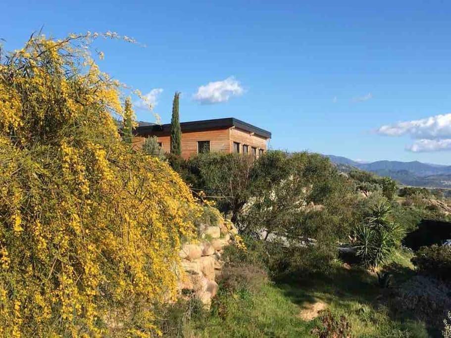 Villa Casa Turrigiani Sagone  Esterno foto
