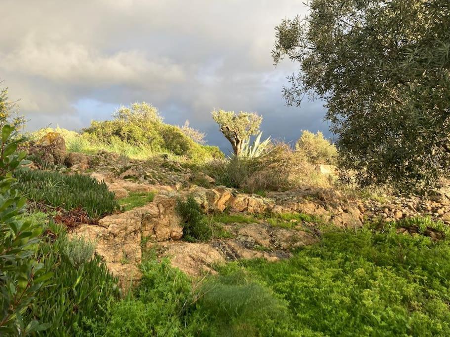Villa Casa Turrigiani Sagone  Esterno foto