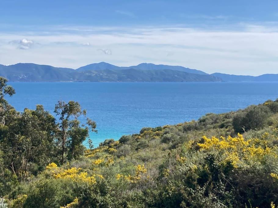 Villa Casa Turrigiani Sagone  Esterno foto