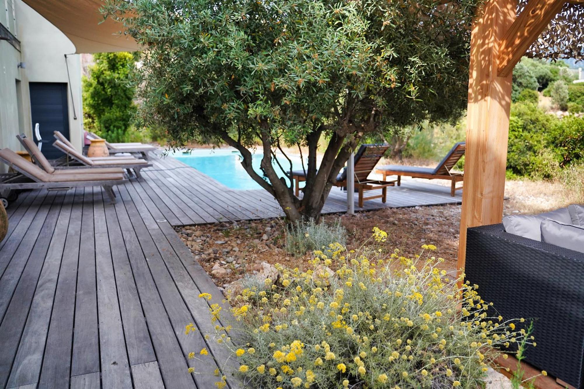 Villa Casa Turrigiani Sagone  Esterno foto