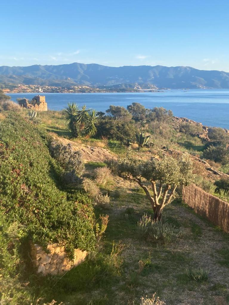 Villa Casa Turrigiani Sagone  Esterno foto