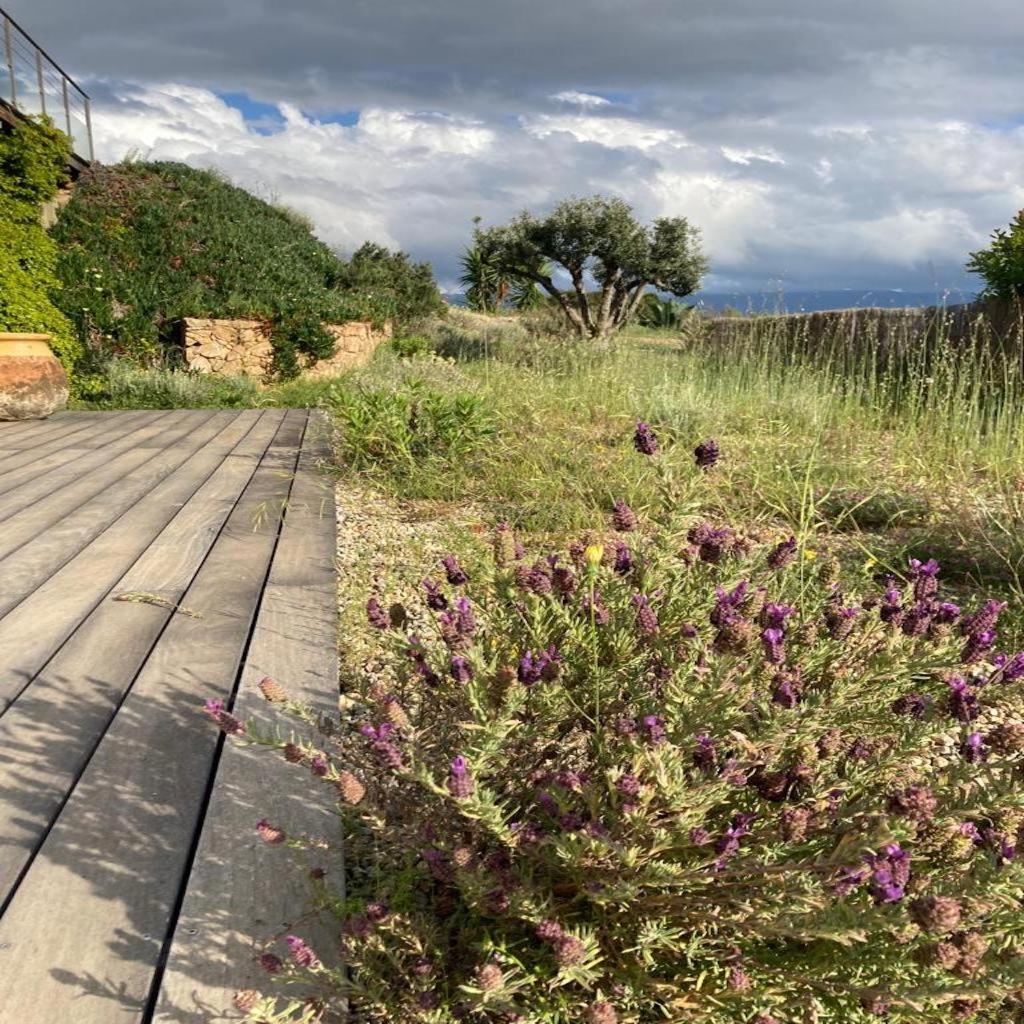 Villa Casa Turrigiani Sagone  Esterno foto