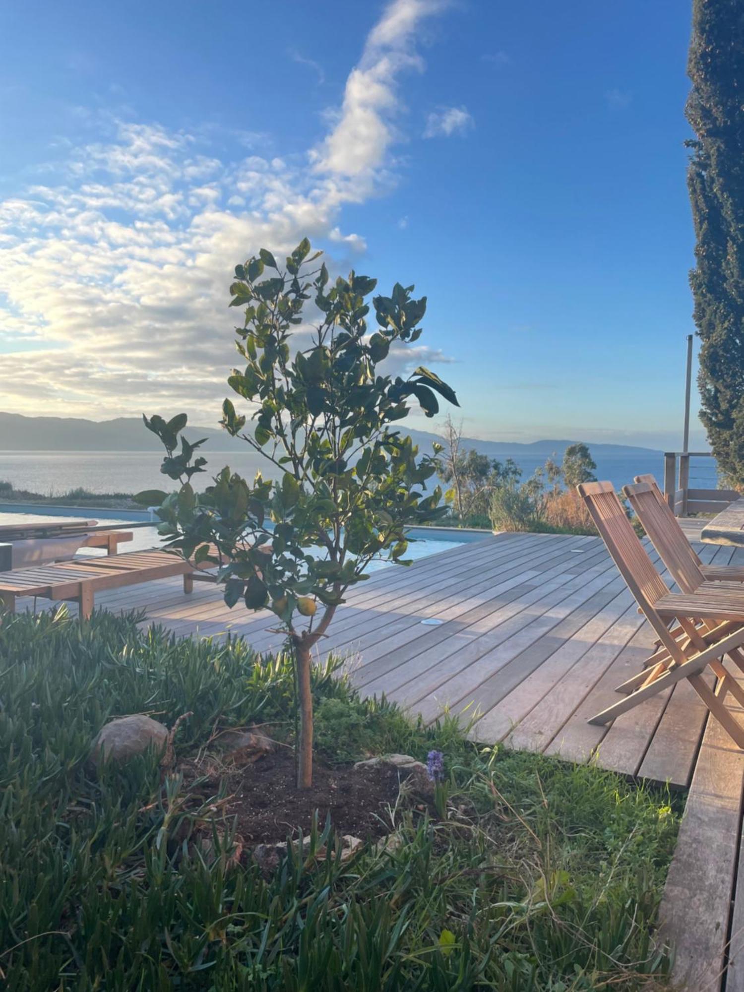 Villa Casa Turrigiani Sagone  Esterno foto